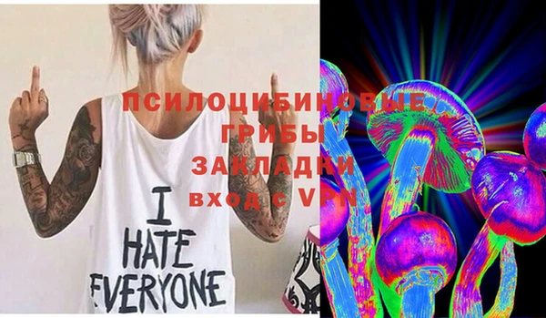 дживик Аркадак